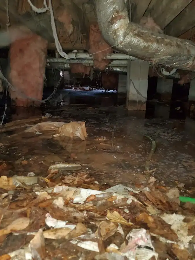 Crawl space flood assessment for Commercial Water Damage Restoration in Fort Thomas