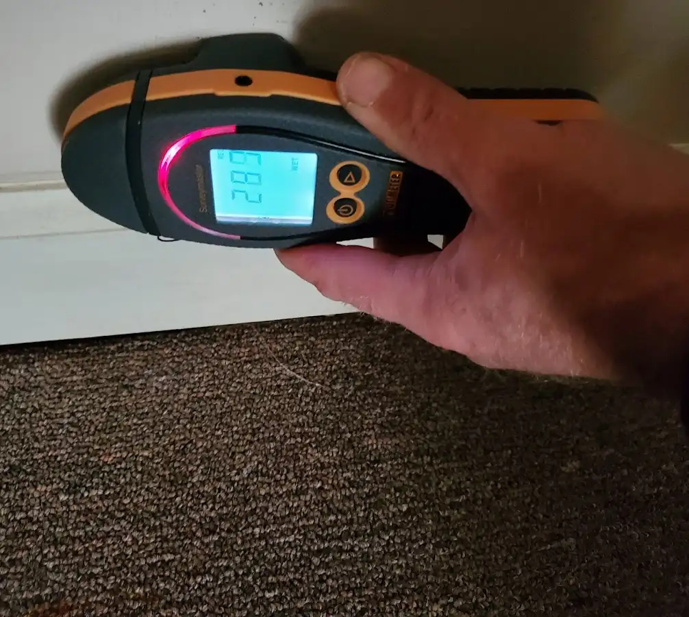 Moisture detection at baseboard during Mold Inspection & Testing in Fort Thomas